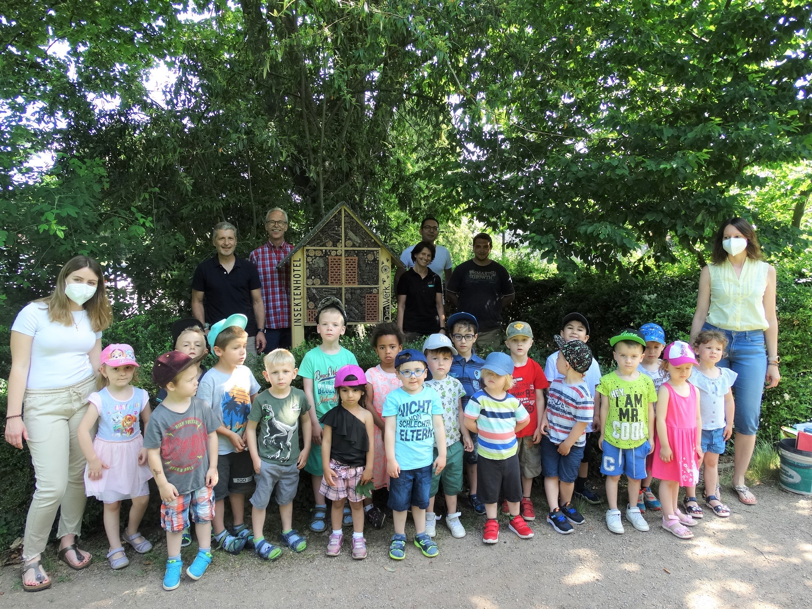 Aufstellen eines Insektenhotels