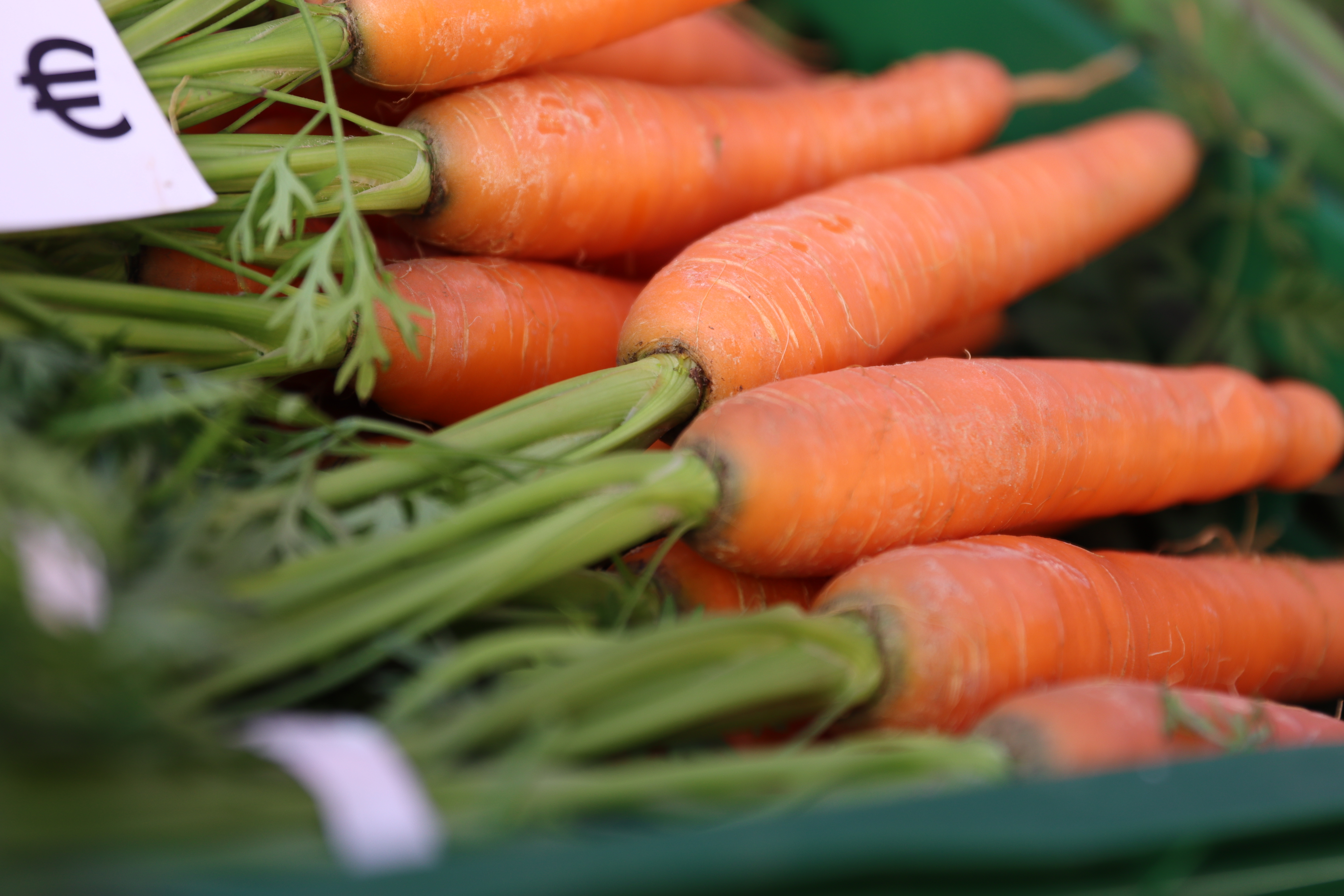 Bund Möhren auf dem Wochenmarkt