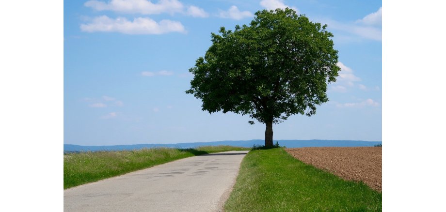 Feldweg