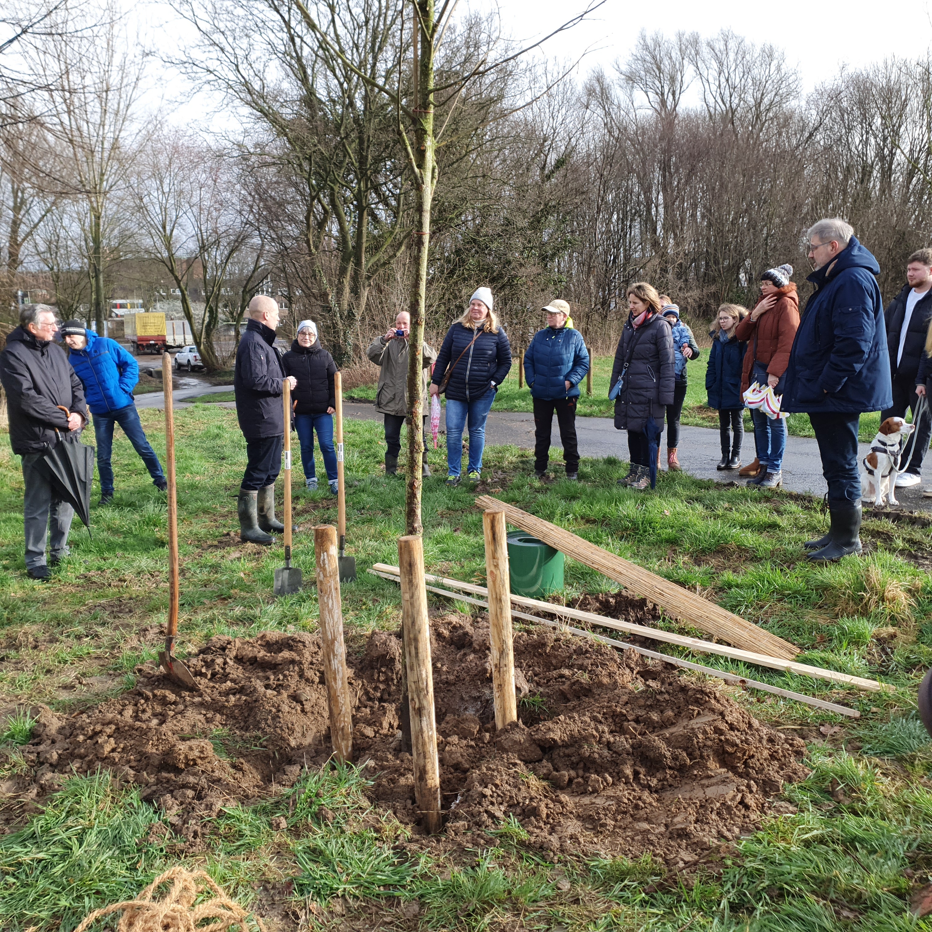 Baumpflanzung im Bürgerwald