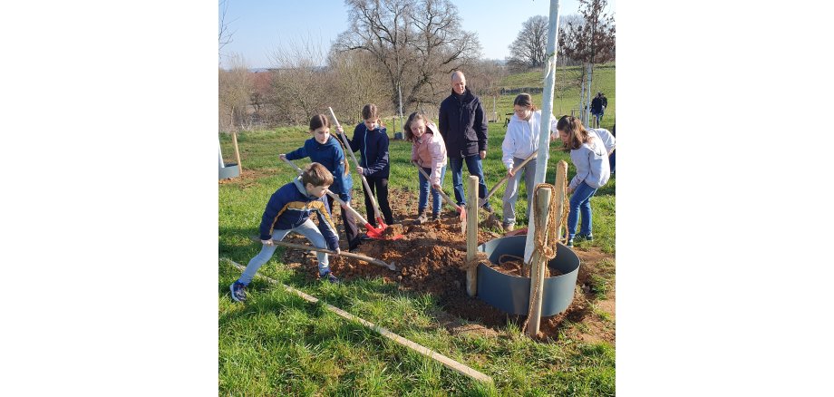 Bürgerwald am Klevchen