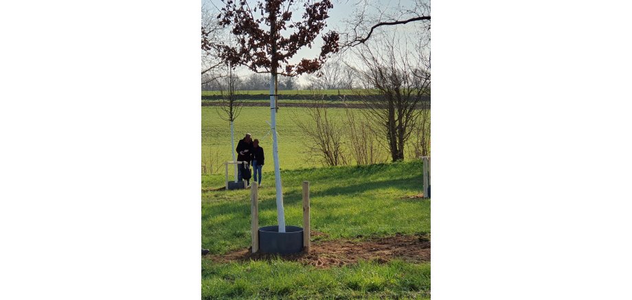 Bürgerwald