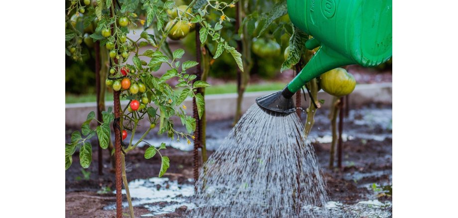 Gießen im Garten