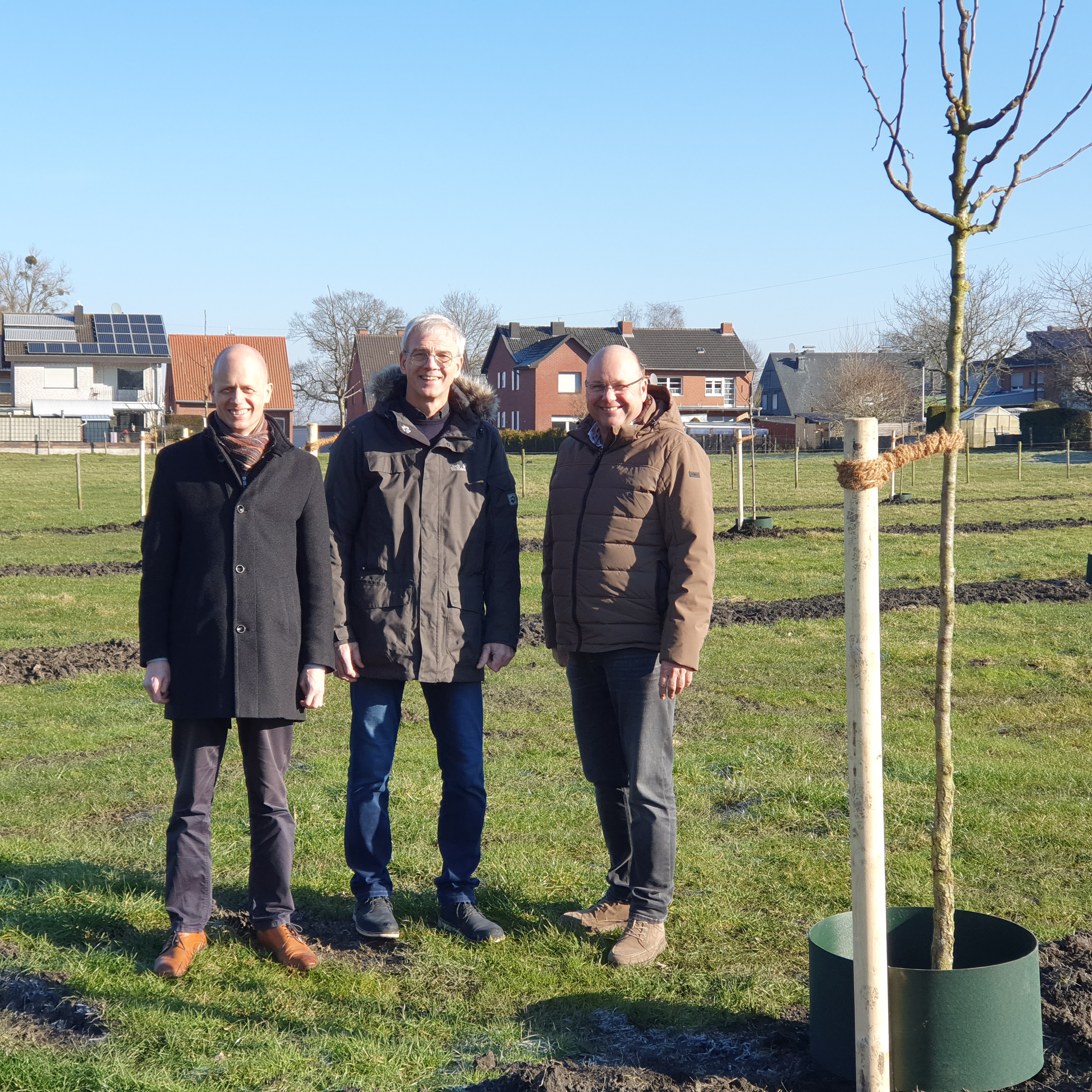 Streuobstwiese in Horst