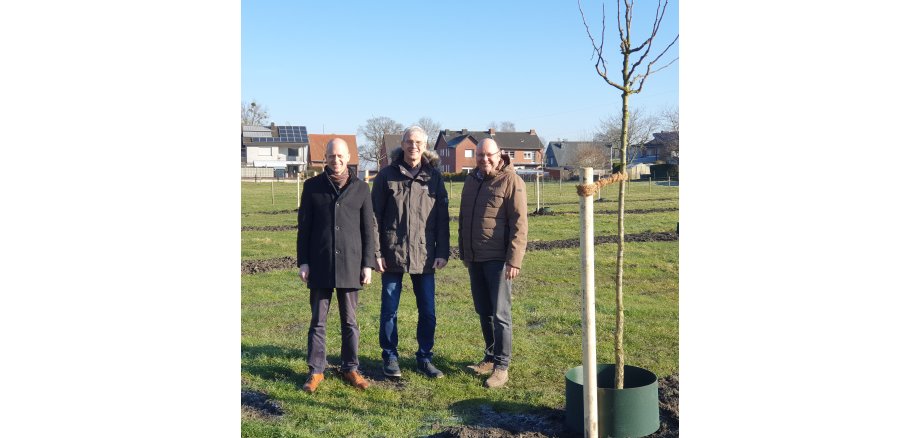 Streuobstwiese in Horst