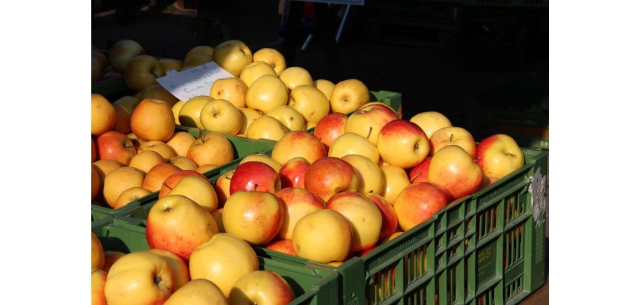 Äpfel auf dem Wochenmarkt