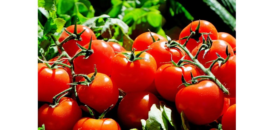 Tomaten Wochenmarkt