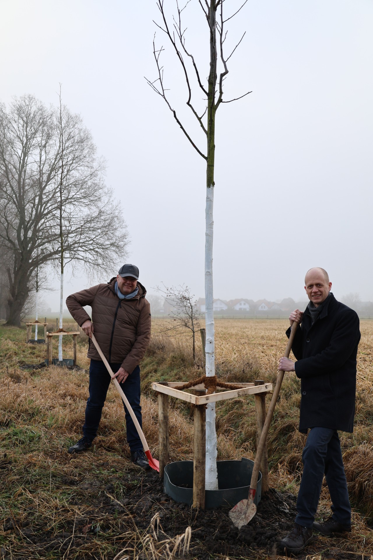 Baumpflanzung in Kempen