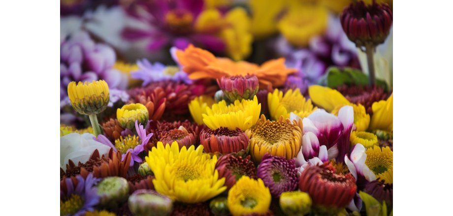Blumen auf dem Wochenmarkt