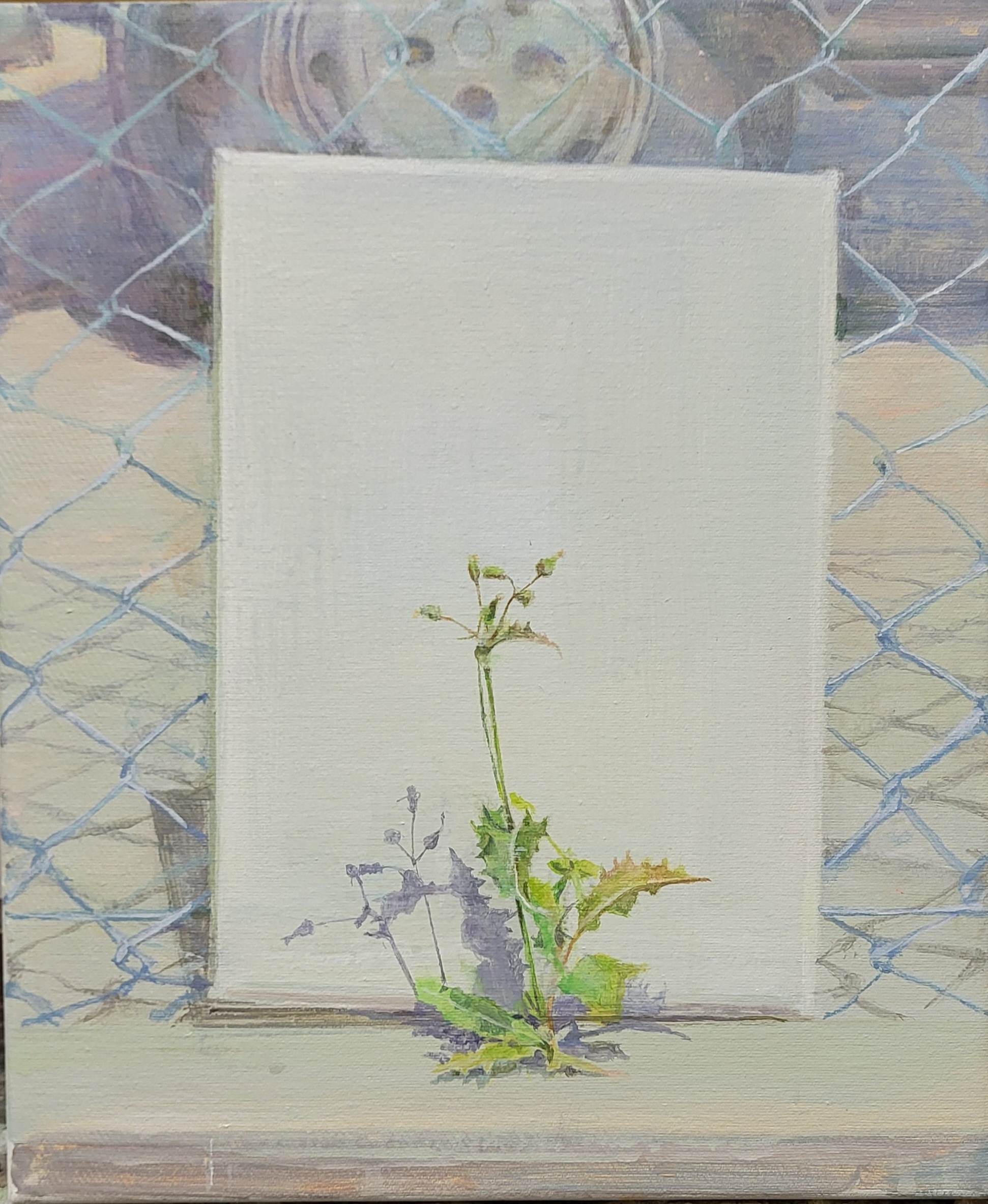 Kunstausstellung Kunstverein Region Heinsberg, "Stille Moment", Jae-Eun Jung, Malerei