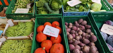 Wochenmarkt Dremmen